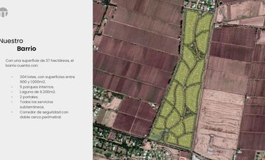 Terreno en  Venta en Vistalba, Mendoza