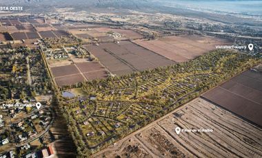 Terreno en  Venta en Vistalba, Mendoza