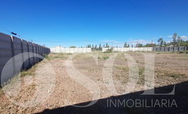 En alquiler terreno  2300 m2 Parque Industrial Cipolletti