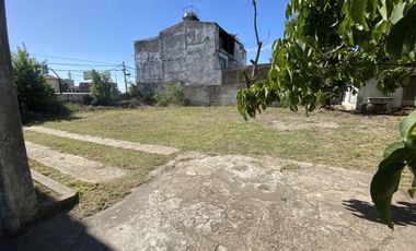 Local - Turdera