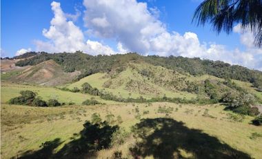 vendo finca en la unión Antioquia 15 Hectareas (24 cuadras)