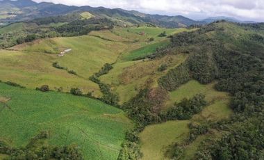 vendo finca en la unión Antioquia 15 Hectareas (24 cuadras)