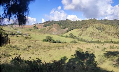 vendo finca en la unión Antioquia 15 Hectareas (24 cuadras)