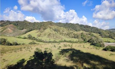 vendo finca en la unión Antioquia 15 Hectareas (24 cuadras)
