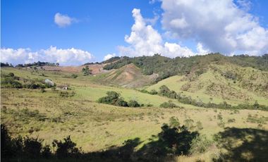 vendo finca en la unión Antioquia 15 Hectareas (24 cuadras)