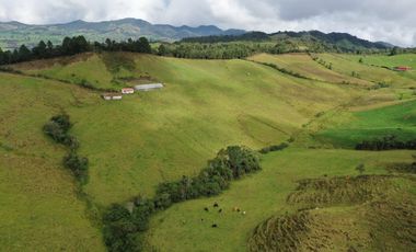 vendo finca en la unión Antioquia 15 Hectareas (24 cuadras)