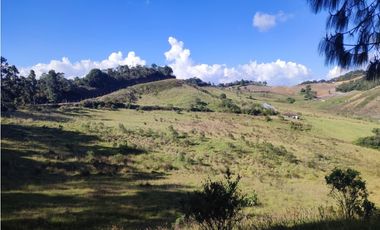 vendo finca en la unión Antioquia 15 Hectareas (24 cuadras)