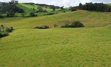 vendo finca en la unión Antioquia 15 Hectareas (24 cuadras)