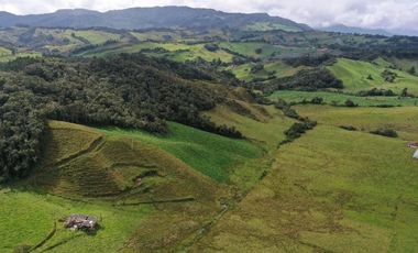 vendo finca en la unión Antioquia 15 Hectareas (24 cuadras)