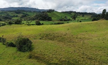 vendo finca en la unión Antioquia 15 Hectareas (24 cuadras)