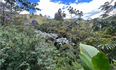 CASA FINCA EN EL RETIRO VEREDA LA ARGENTINA CON 3 CONSTRUCCIONES