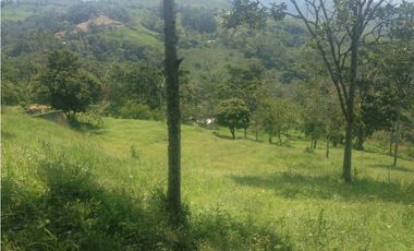 Vendo lindo lote en Nocaima de1,45 hectáreas