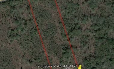 Terreno a solo 9 km de estación de tren carretera Mérida Cancún