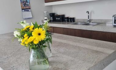 Venta de casa en privada Zelena Conkal, con una habitación en planta baja