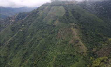 Finca certificada en venta sector Génova Quindío (120 Hectareas)