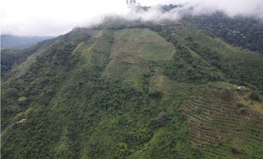 Finca certificada en venta sector Génova Quindío (120 Hectareas)