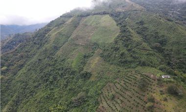 Finca certificada en venta sector Génova Quindío (120 Hectareas)