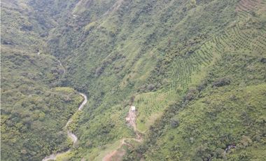 Finca certificada en venta sector Génova Quindío (120 Hectareas)