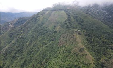 Finca certificada en venta sector Génova Quindío (120 Hectareas)