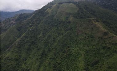 Finca certificada en venta sector Génova Quindío (120 Hectareas)