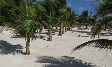 VENTA DE HERMOSO TERRENO FRENTE AL MAR, MAHAHUAL