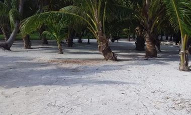 VENTA DE HERMOSO TERRENO FRENTE AL MAR, MAHAHUAL