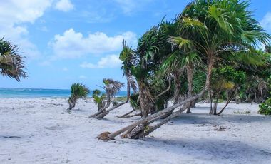 VENTA DE HERMOSO TERRENO FRENTE AL MAR, MAHAHUAL