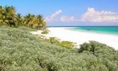 VENTA DE HERMOSO TERRENO FRENTE AL MAR, MAHAHUAL