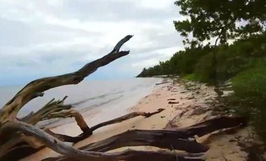 VENTA DE HERMOSO TERRENO FRENTE AL MAR, MAHAHUAL