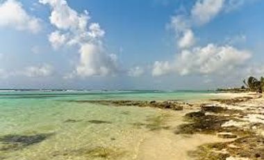 VENTA DE HERMOSO TERRENO FRENTE AL MAR, MAHAHUAL
