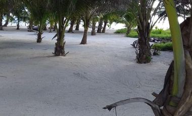 VENTA DE HERMOSO TERRENO FRENTE AL MAR, MAHAHUAL