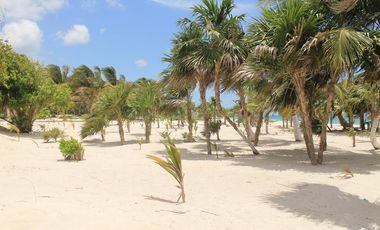 VENTA DE HERMOSO TERRENO FRENTE AL MAR, MAHAHUAL