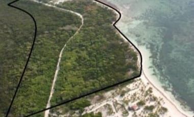 VENTA DE HERMOSO TERRENO FRENTE AL MAR, MAHAHUAL