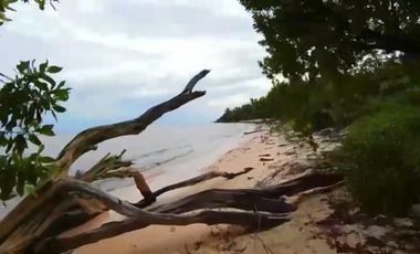 VENTA DE HERMOSO TERRENO FRENTE AL MAR, MAHAHUAL