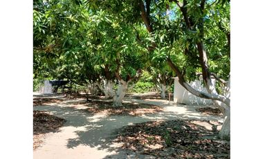 Venta De Lotes En Rodadero Santa Marta Colombia