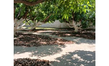 Venta De Lotes En Rodadero Santa Marta Colombia