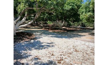 Venta De Lotes En Rodadero Santa Marta Colombia