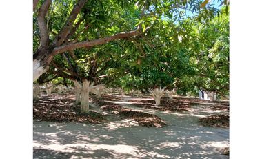 Venta De Lotes En Rodadero Santa Marta Colombia