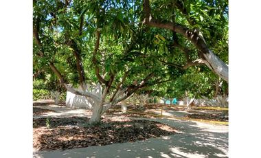 Venta De Lotes En Rodadero Santa Marta Colombia