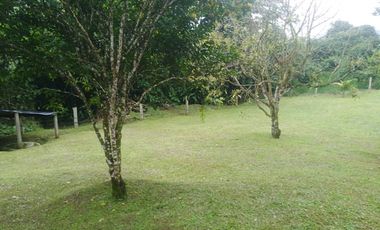 Venta Finca en la vía Córdoba a Pijao Quindío. Colombia COD: 8520185