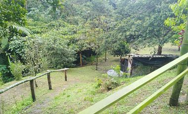 Venta Finca en la vía Córdoba a Pijao Quindío. Colombia COD: 8520185