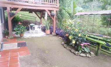 Venta Finca en la vía Córdoba a Pijao Quindío. Colombia COD: 8520185