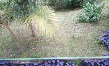 Venta Finca en la vía Córdoba a Pijao Quindío. Colombia COD: 8520185