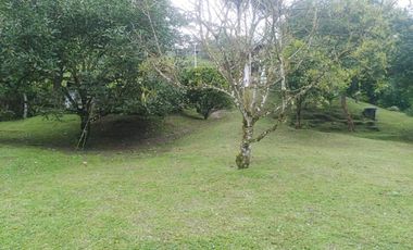 Venta Finca en la vía Córdoba a Pijao Quindío. Colombia COD: 8520185