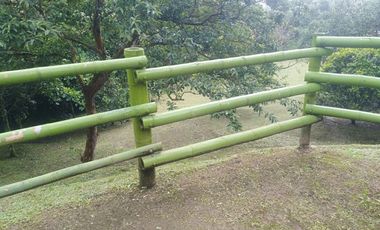 Venta Finca en la vía Córdoba a Pijao Quindío. Colombia COD: 8520185
