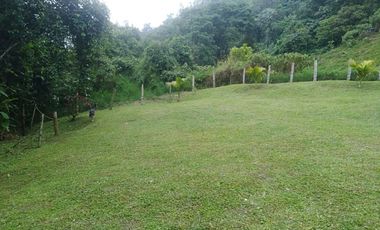 Venta Finca en la vía Córdoba a Pijao Quindío. Colombia COD: 8520185