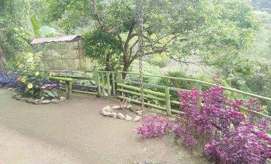 Venta Finca en la vía Córdoba a Pijao Quindío. Colombia COD: 8520185