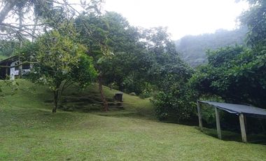Venta Finca en la vía Córdoba a Pijao Quindío. Colombia COD: 8520185
