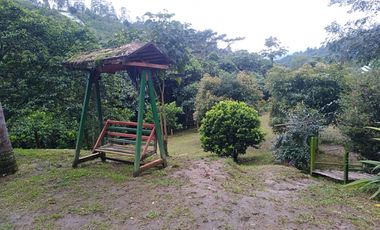 Venta Finca en la vía Córdoba a Pijao Quindío. Colombia COD: 8520185