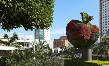 Local comercial en arriendo en Medellín, Medellín - Agua